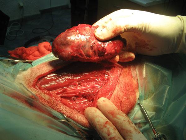 case 2 2
