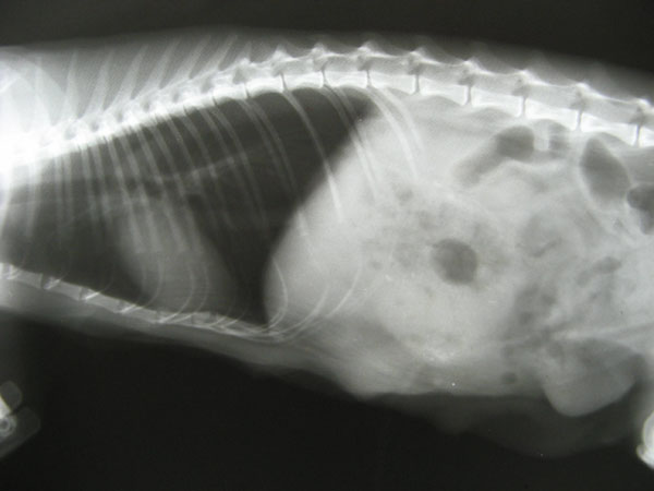 case 7 3